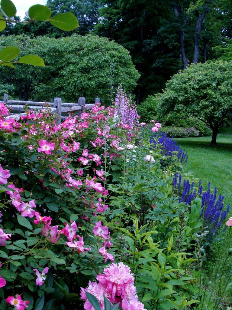 Garden Tour Photo for webpage 3.jpg