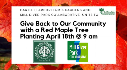 BARTLETT ARBORETUM & GARDENS AND MILL RIVER ARE EXCITED TO PARTNER TO ADD (5).png