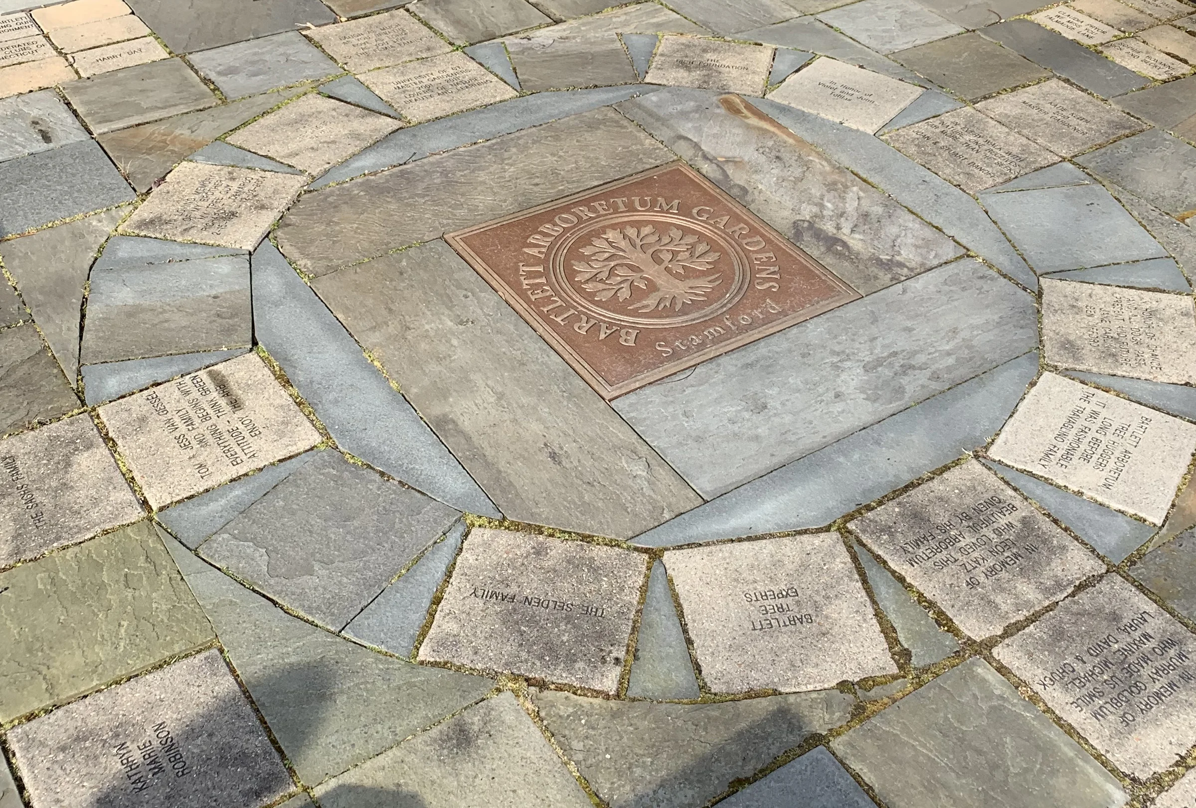 Plant a Brick.jpg