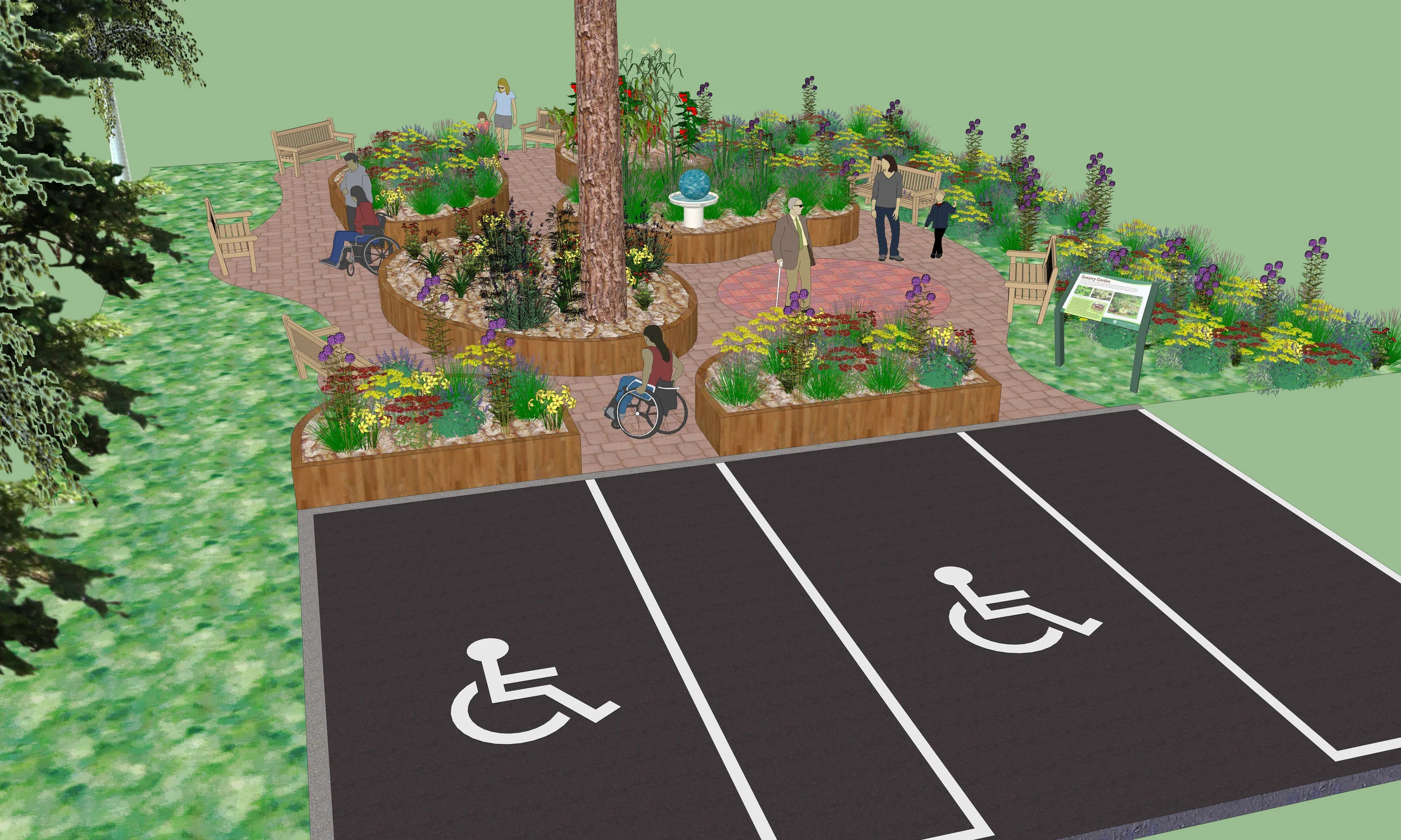 wheelchair access in sensory garden.jpeg