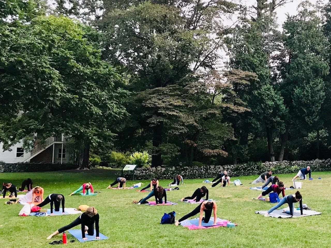 yoga.jpeg