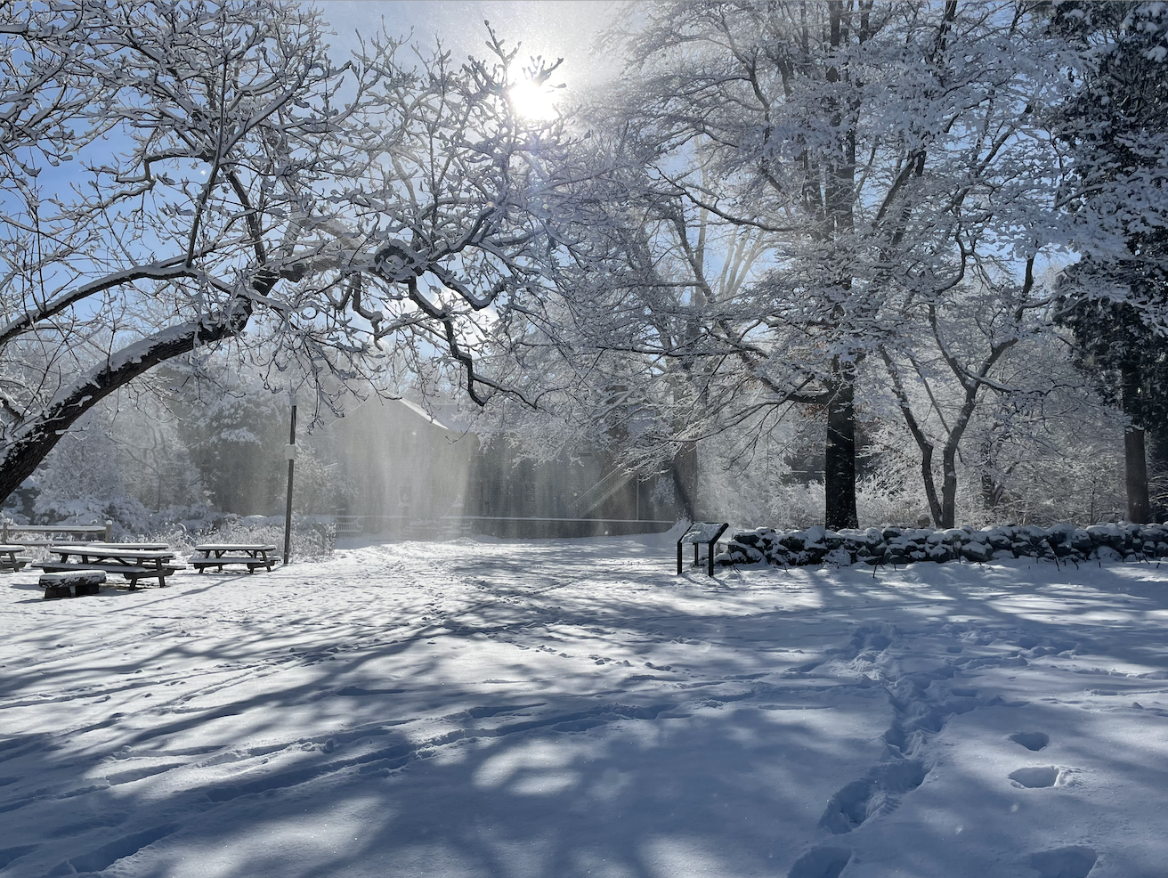 Third Thursday Walks and Talks at the Bartlett