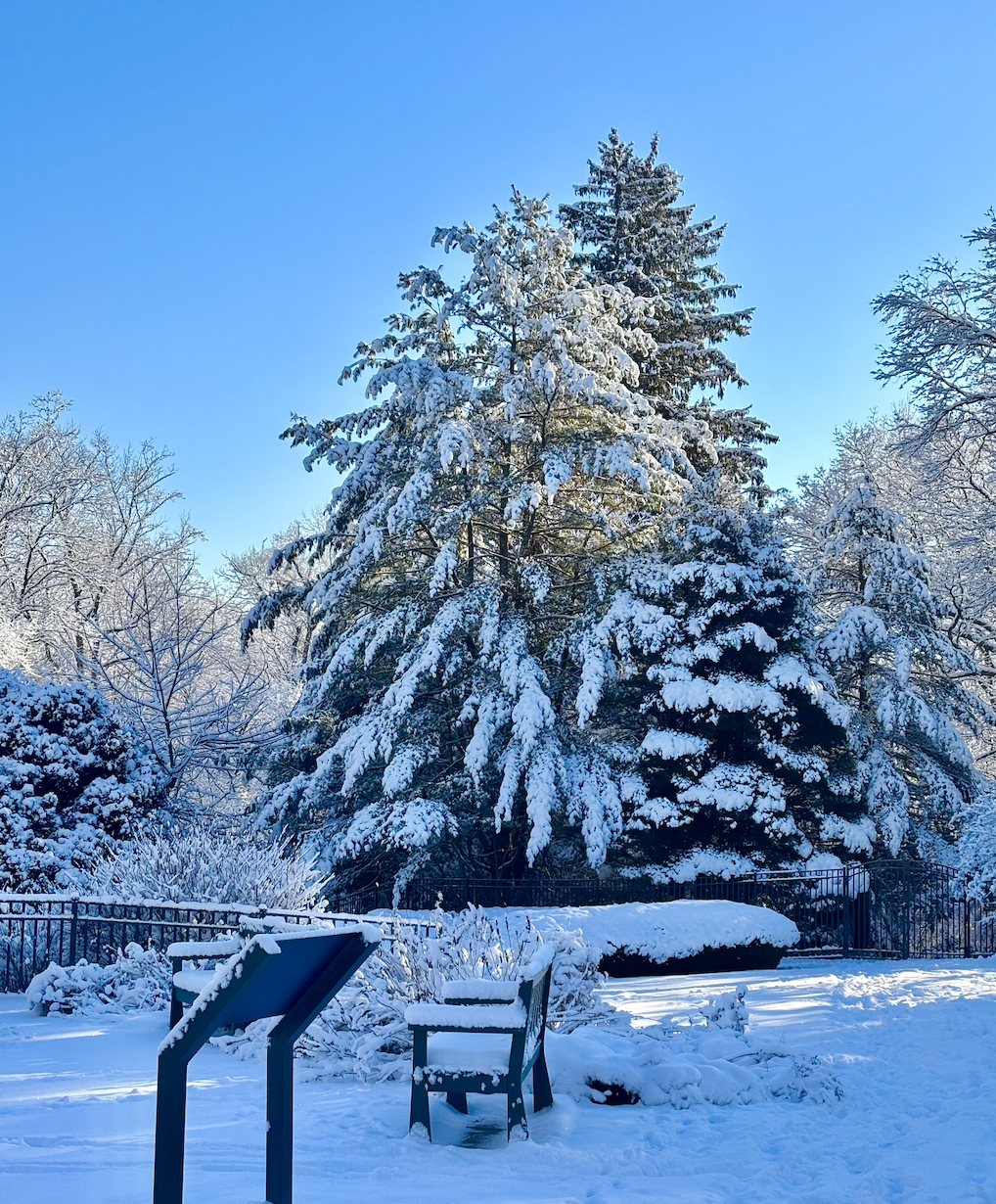 Third Thursday Walks and Talks at the Bartlett