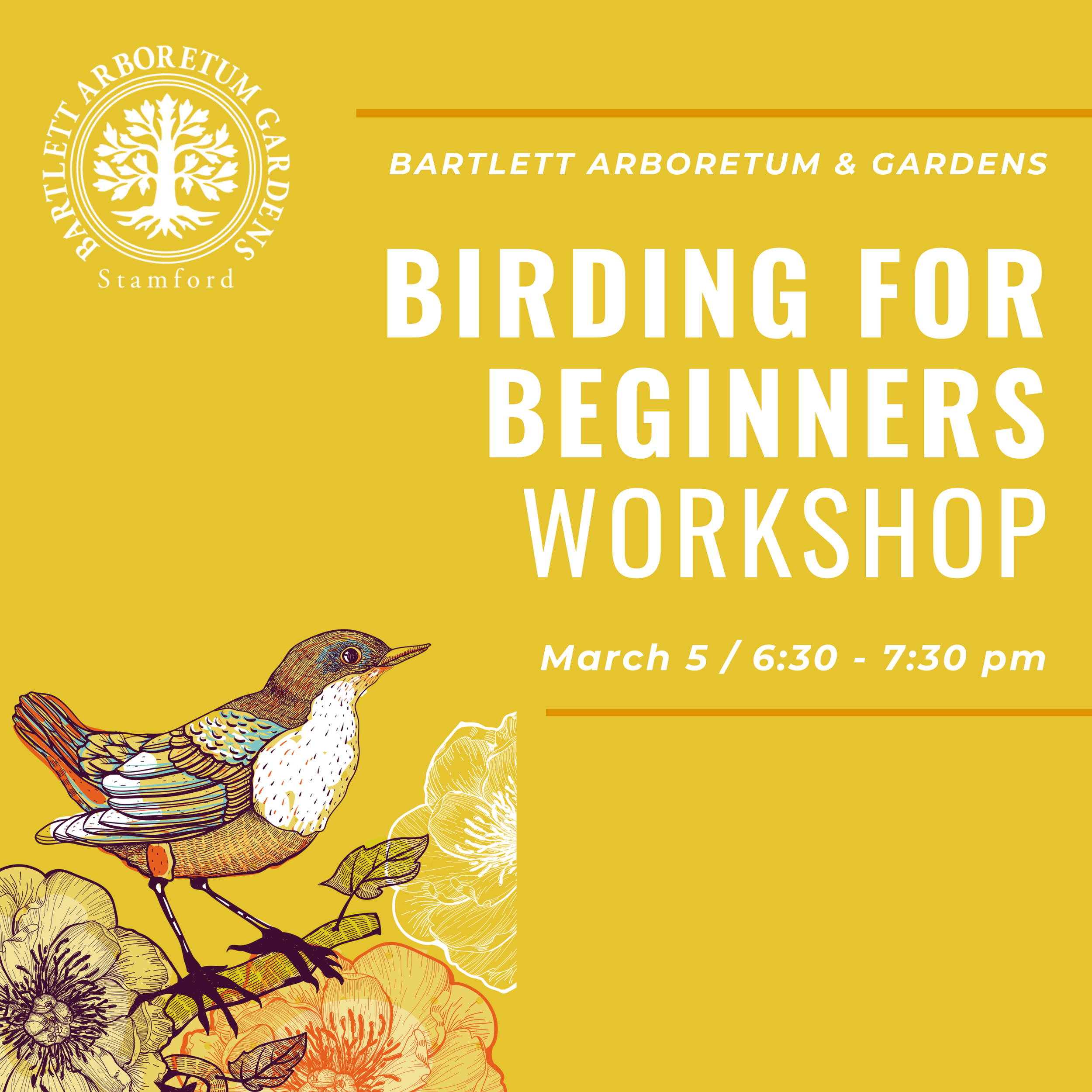 Birding for Beginners Workshop