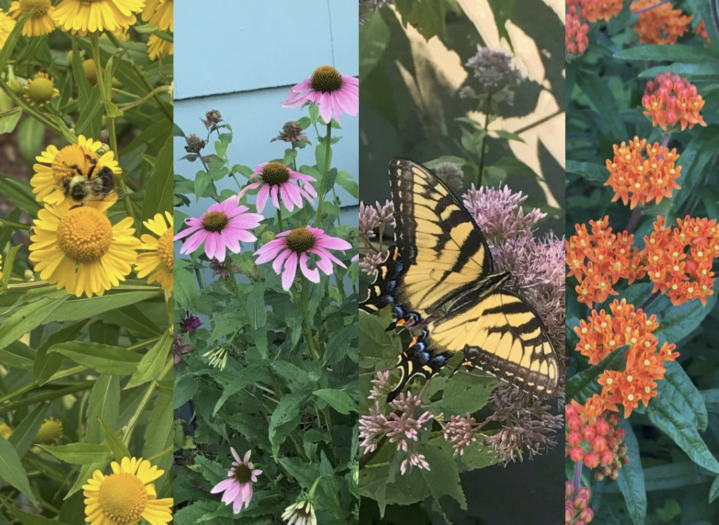 Plant Sale 2026