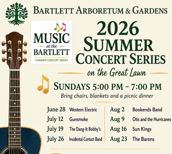 Summer Concert Series
