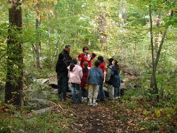 kids in woods_web.jpg