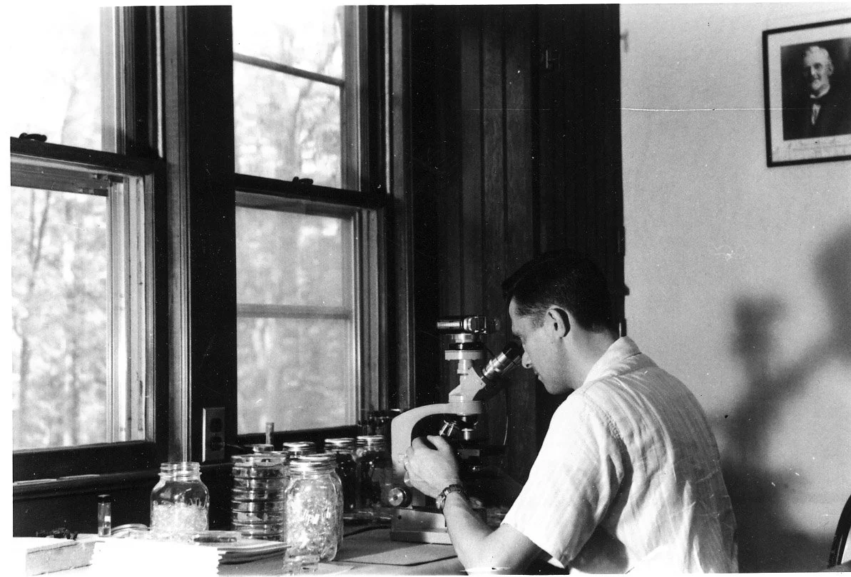 lab work 1961.JPG