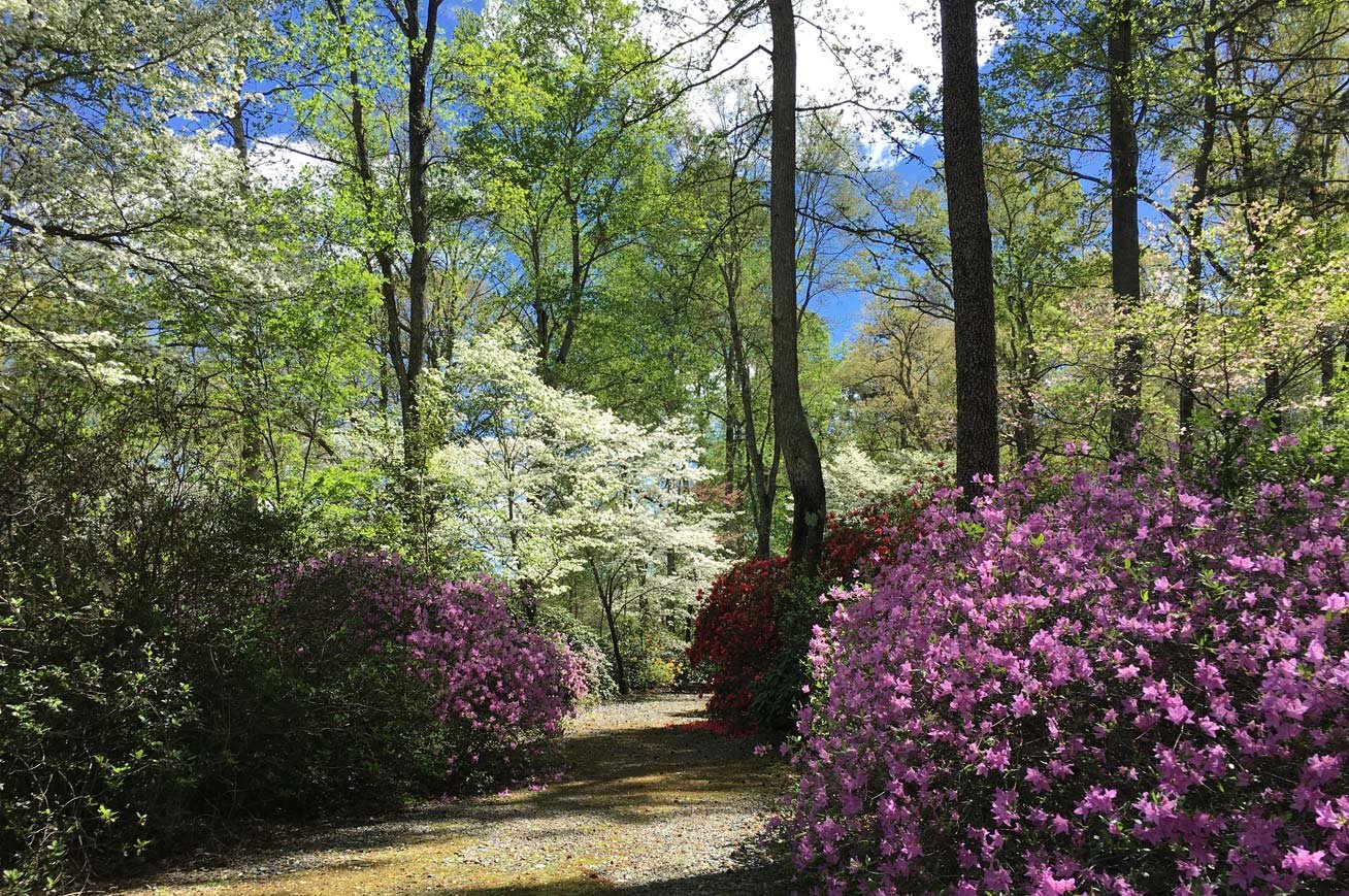 arboretum-rhodie-garden-entrance.jpg