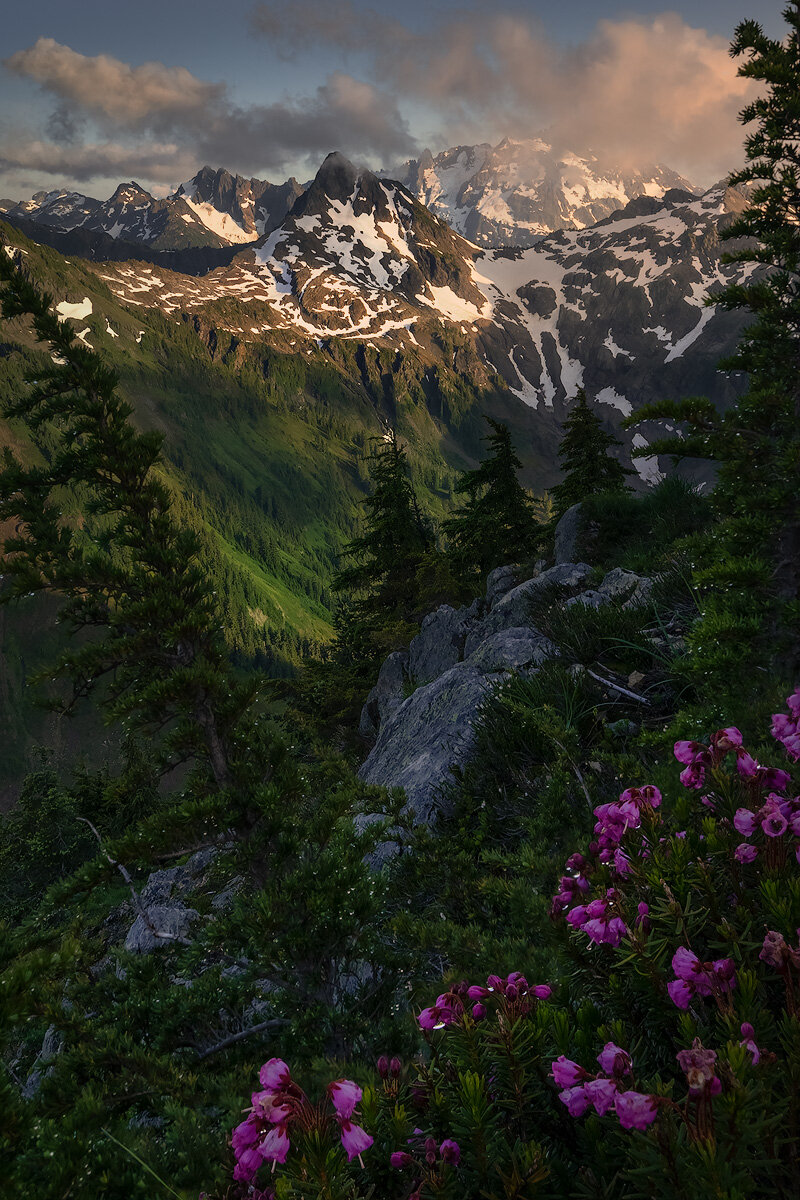 Flowers and Mountains — Mt. Baker-Snoqualmie National Forest, Washington, USA. This is probably my favorite image taken from my first solo backpacking trip and best ever day of photography. To me this shows the absolute best of the North Cascade