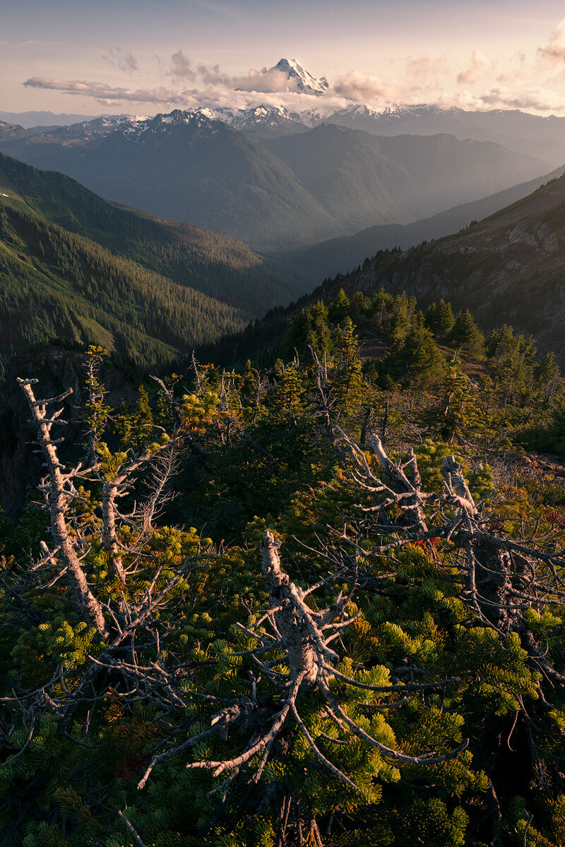 Mount Baker — Mt. Baker-Snoqualmie National Forest, Washington, USA.