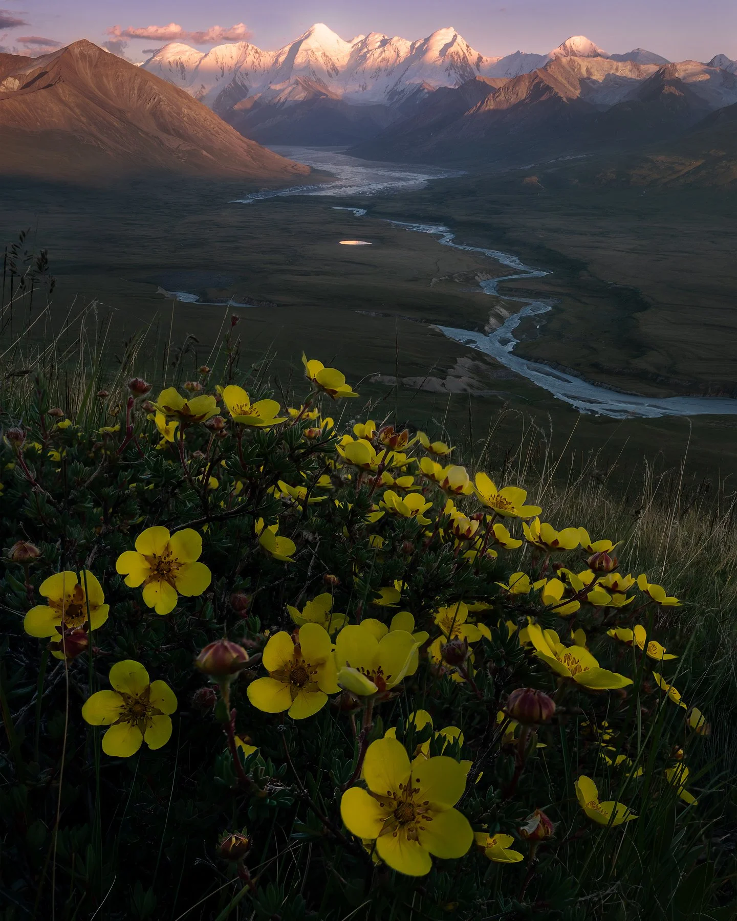 Nomad's Valley