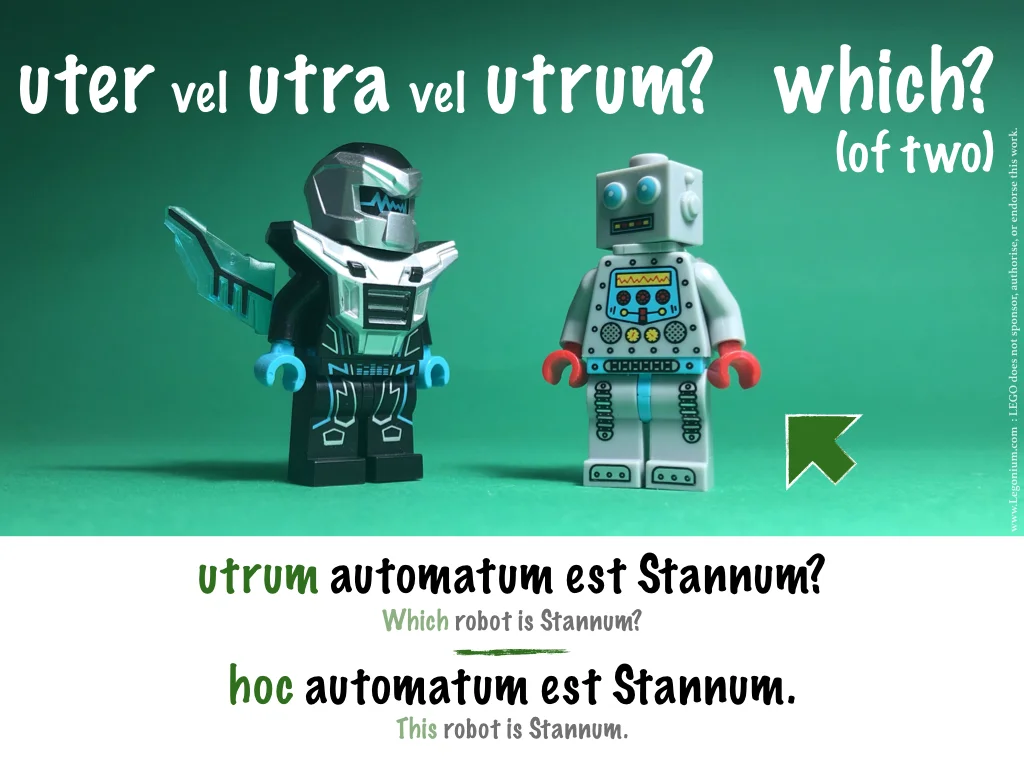 question words.004.jpeg