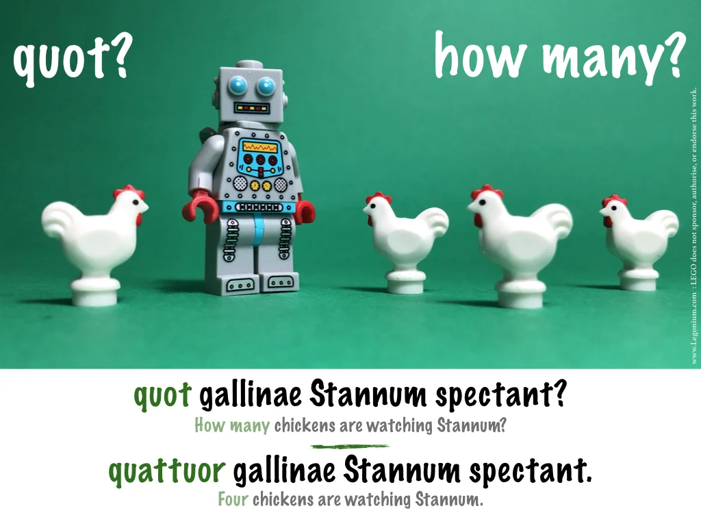 question words.006.jpeg