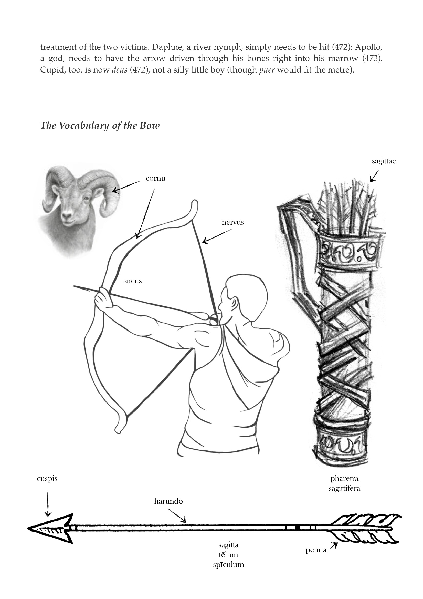 Daphne & Apollo 9.jpeg