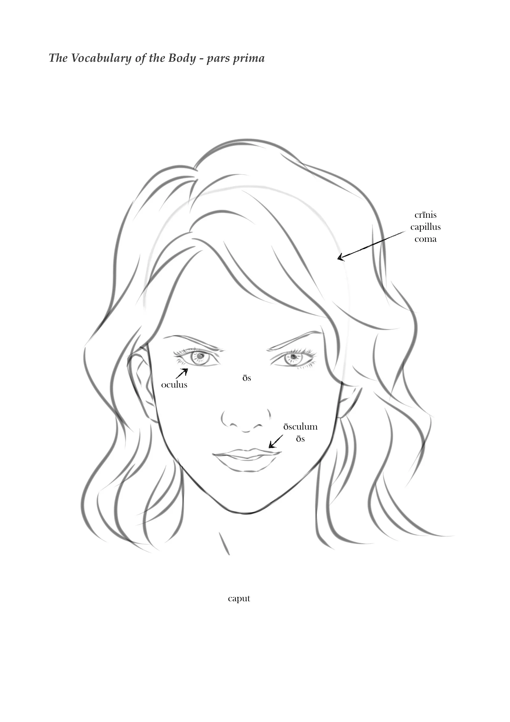 Daphne & Apollo 11.jpeg