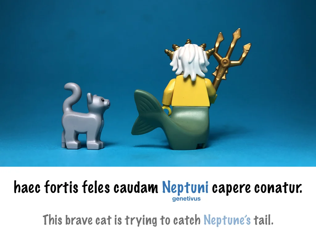 cases posters.024.jpeg