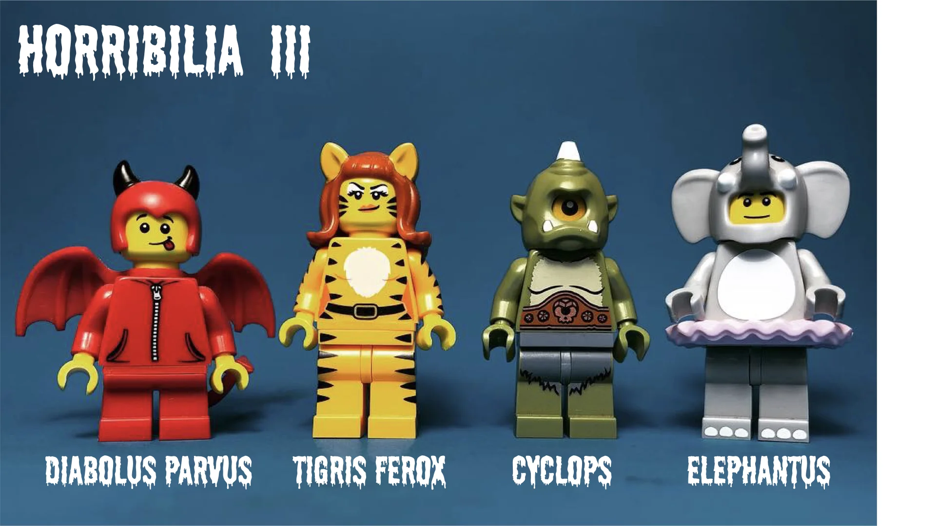 vestimenta clothing.010.jpeg