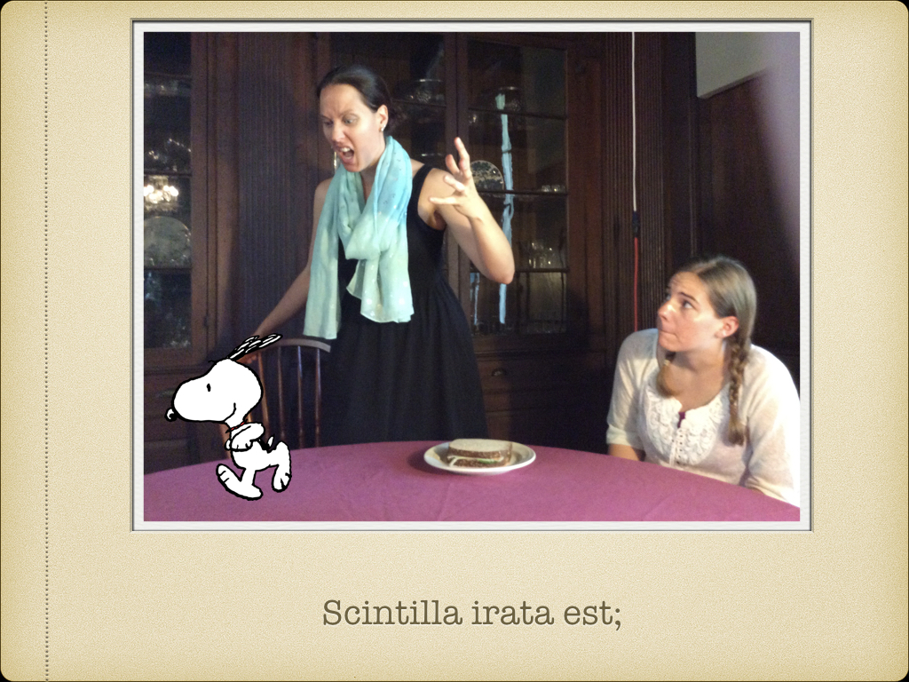 familia laeta.035.jpeg