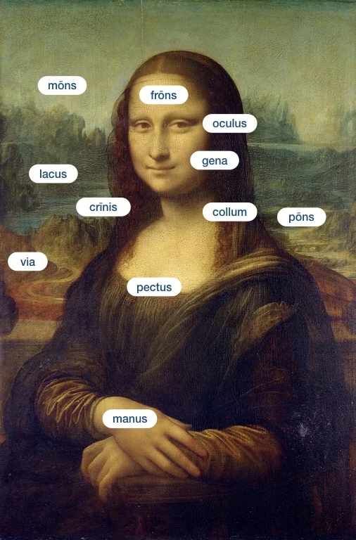 Leonardo da Vinci, Mona Lisa (1506)