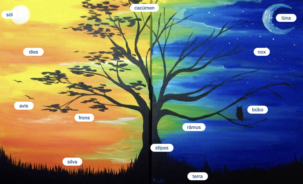 Day and Night Tree (www.JustForYouPropheticArt.com)