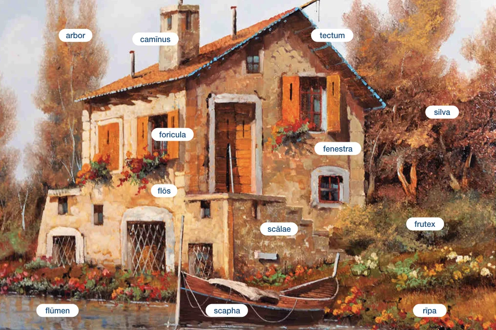Guido Borelli, Landscape Image