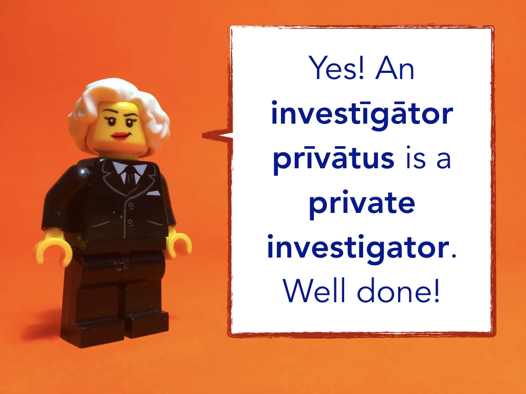 Disco Lesson 2 Remix.012.jpeg