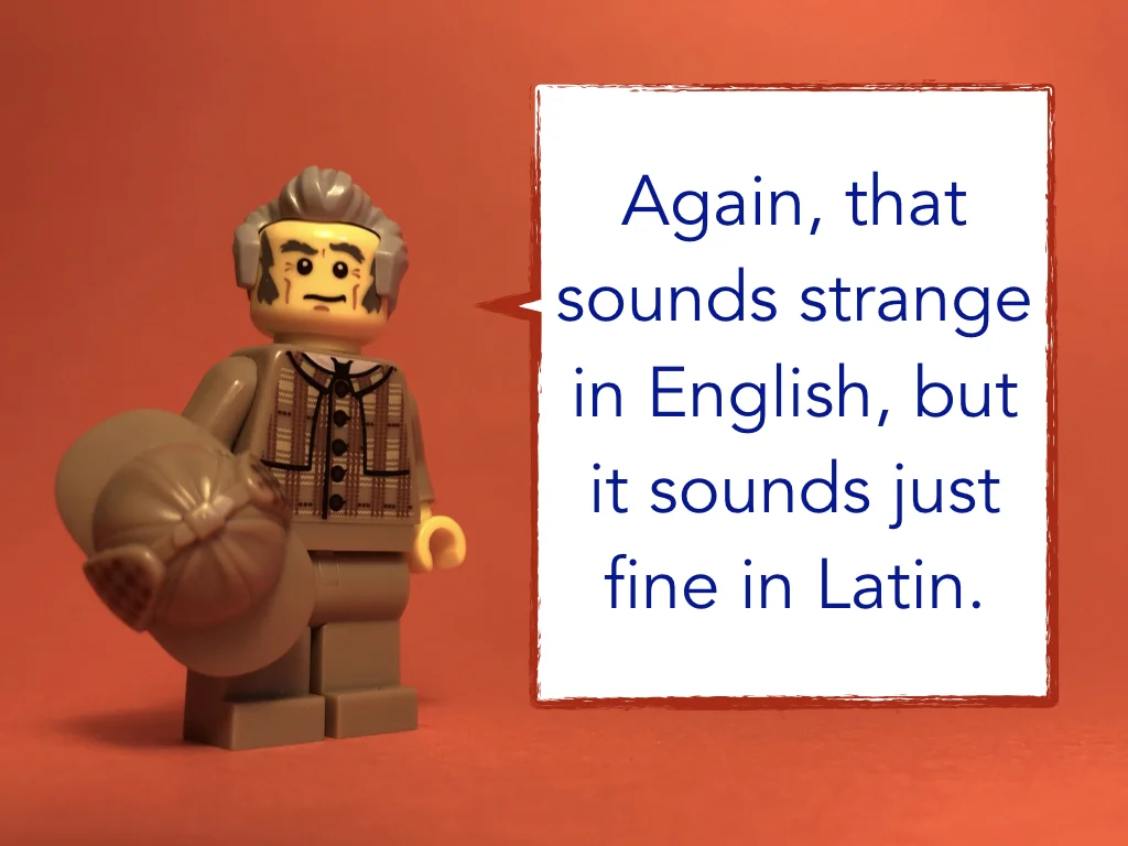 Disco Lesson 2 Remix.034.jpeg