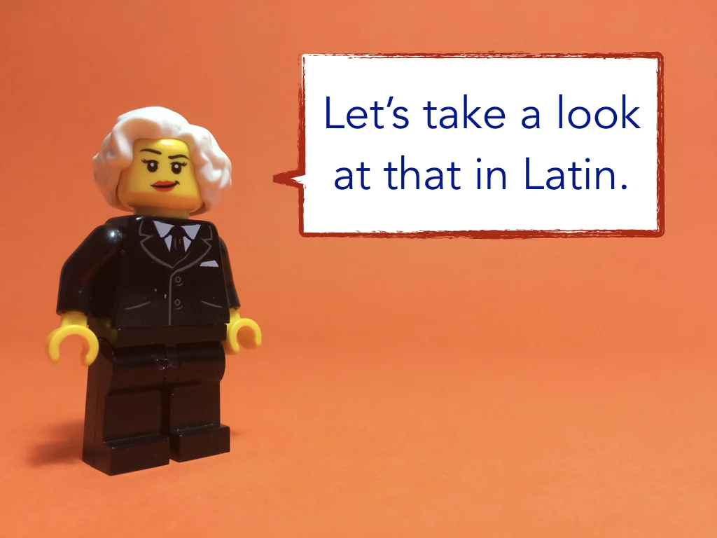 Disco Lesson 3 Remix.015.jpeg