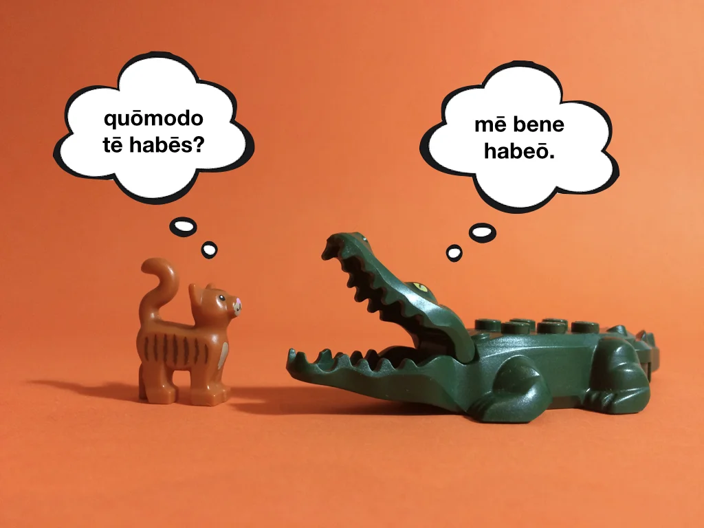 Disco Lesson 3 Remix.021.jpeg