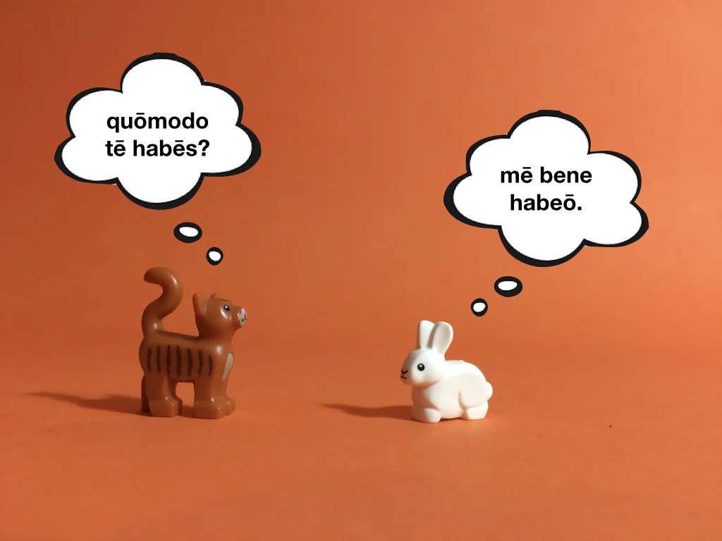 Disco Lesson 3 Remix.023.jpeg