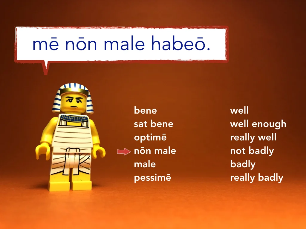 Disco Lesson 3 Remix.029.jpeg