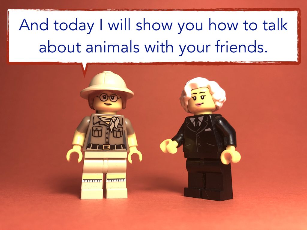 Disco Lesson 4 Remix.010.jpeg