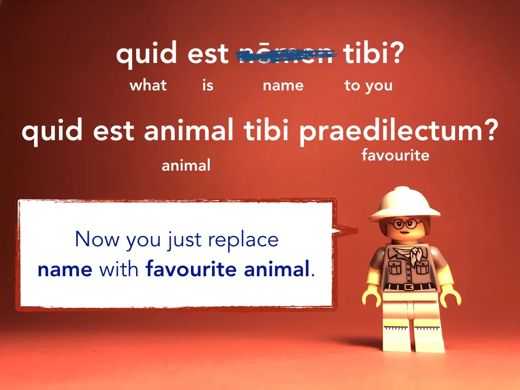 Disco Lesson 4 Remix.015.jpeg