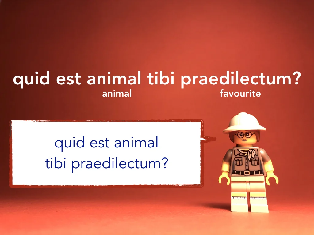 Disco Lesson 4 Remix.016.jpeg