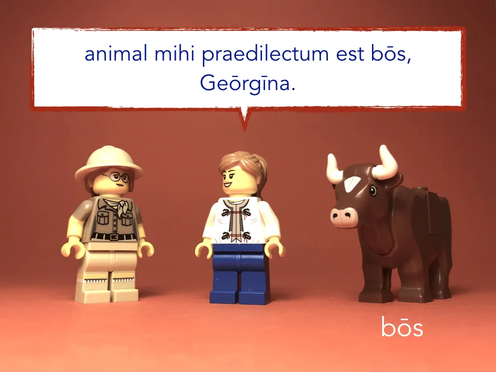 Disco Lesson 4 Remix.024.jpeg