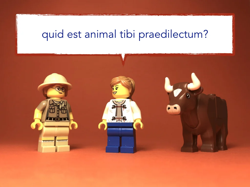 Disco Lesson 4 Remix.025.jpeg