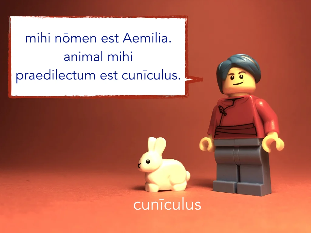 Disco Lesson 4 Remix.030.jpeg