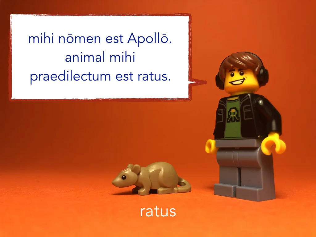 Disco Lesson 4 Remix.036.jpeg