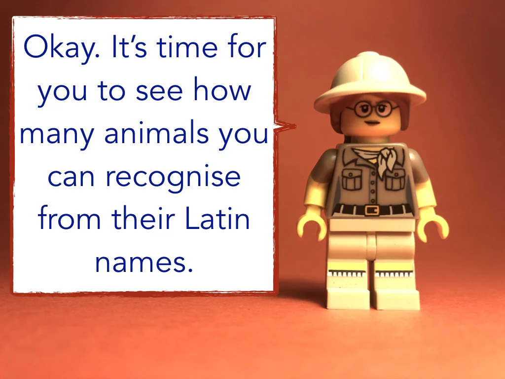 Disco Lesson 4 Remix.037.jpeg