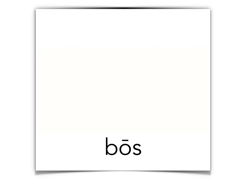 Disco Lesson 4 Remix.041.jpeg