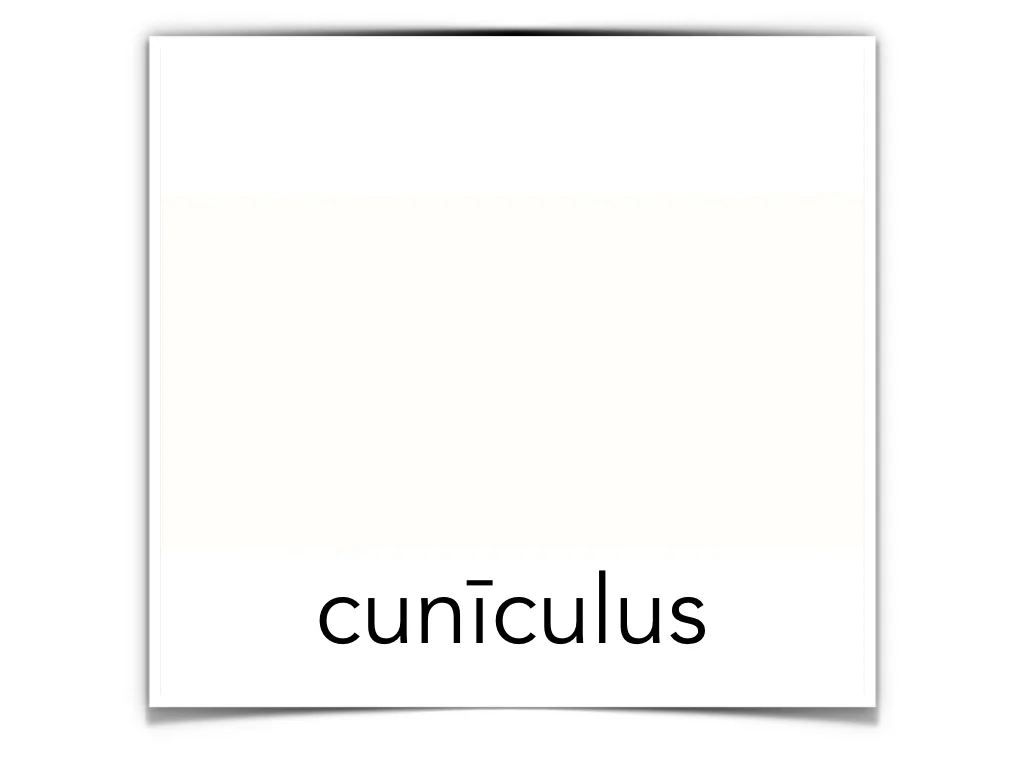 Disco Lesson 4 Remix.043.jpeg