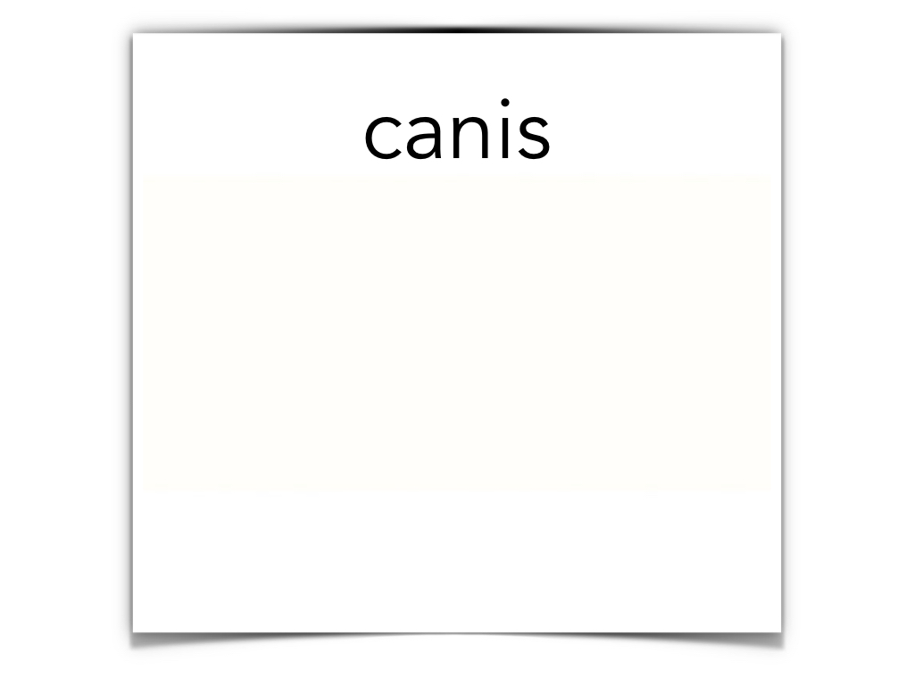 Disco Lesson 4 Remix.053.jpeg