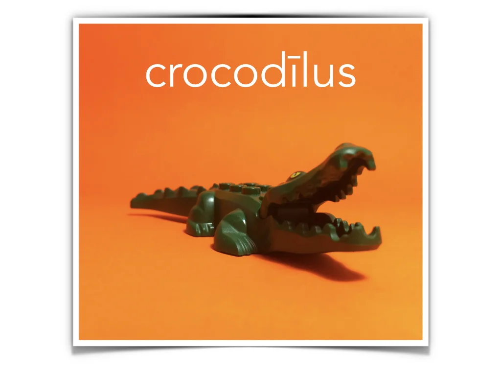 Disco Lesson 4 Remix.052.jpeg