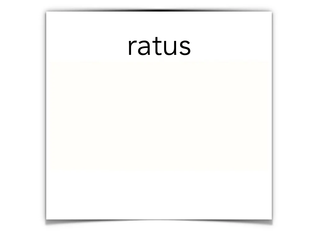 Disco Lesson 4 Remix.055.jpeg