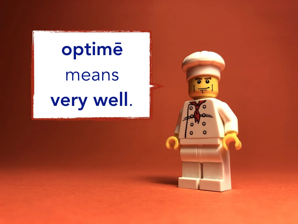 Disco Lesson 5 Remix.005.jpeg