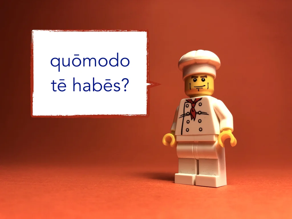 Disco Lesson 5 Remix.007.jpeg