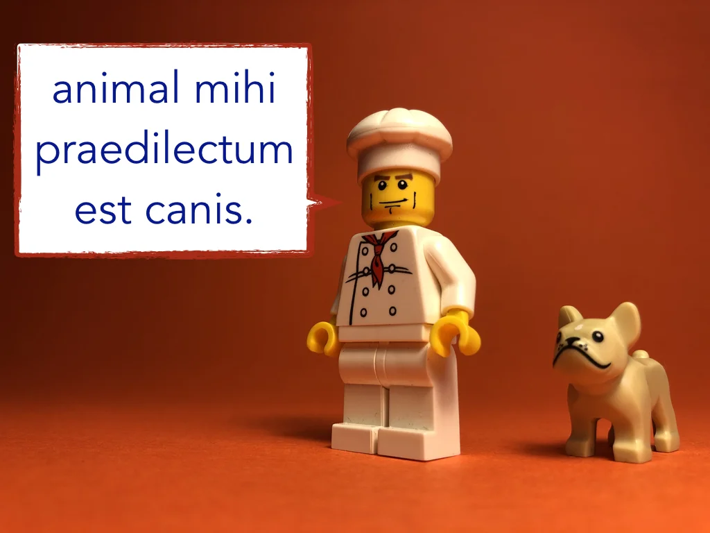 disco 5 — Legonium