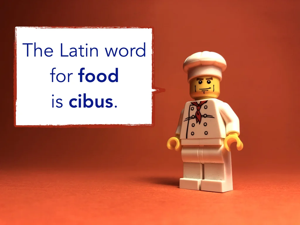 Disco Lesson 5 Remix.014.jpeg