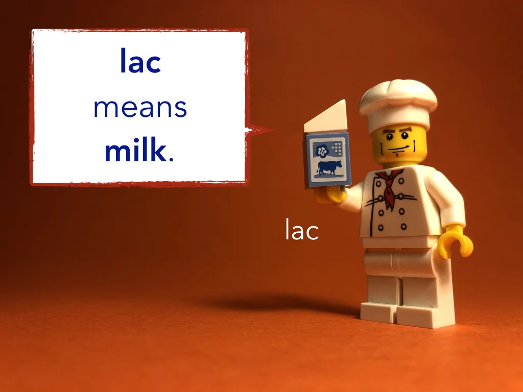 Disco Lesson 5 Remix.041.jpeg